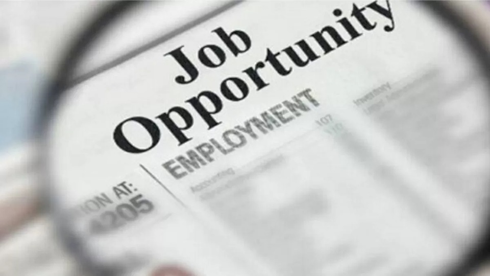 Jobs in UP-Bihar: यूपी-बिहार में कई विभागों में निकलीं सरकारी नौकरियां, जानिए कैसे करें अप्लाई