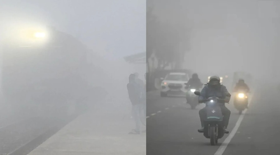UP News: 50 जिलों में भीषण कोहरा, उन्‍नाव में रोडवेज बस-ट्रक की टक्कर; दृश्यता 10 मीटर