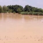 Sitapur: शारदा सहायक नहर; सीतापुर की किस्मत बदलने वाला सौ साल पुराना सपना