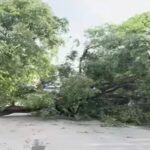 UP में आंधी-तूफान से पेड़-पोल उखड़े, घरों की टंकियां तक उड़ीं; आज 39 जिलों में हीटवेव का अलर्ट  