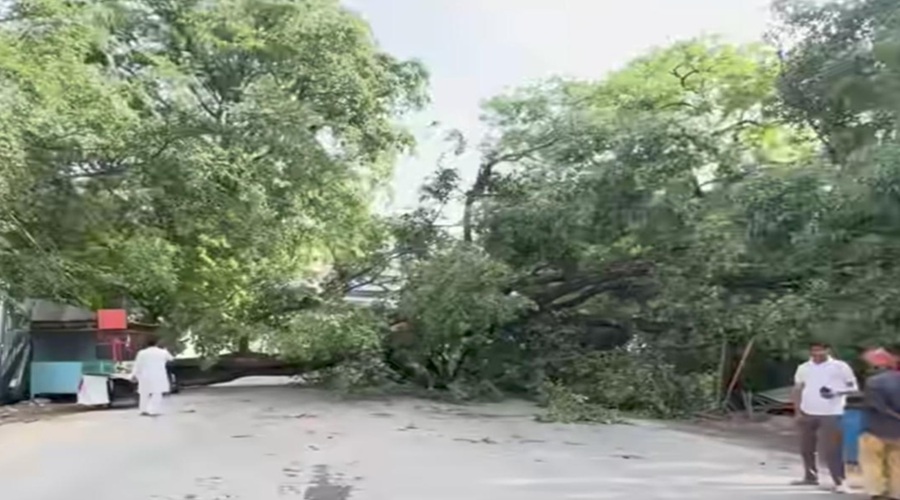 UP में आंधी-तूफान से पेड़-पोल उखड़े, घरों की टंकियां तक उड़ीं; आज 39 जिलों में हीटवेव का अलर्ट