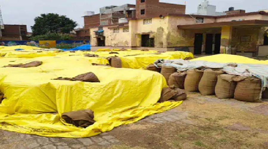 गाजीपुर में बारिश से गोदाम में रखा 100 क्विंटल गेहूं भीगा, आज 45 जिलों में आंधी-बारिश का अलर्ट