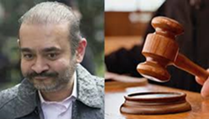 Nirav Modi: ब्रिटिश कोर्ट का आदेश- बैंक फ्रॉड मामले में भुगतान करना होगा