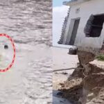UP Monsoon: गंगा में बहा मेरठ का कांवड़िया, जवान ने बचाया; बलिया में दो मकान सरयू में समाए