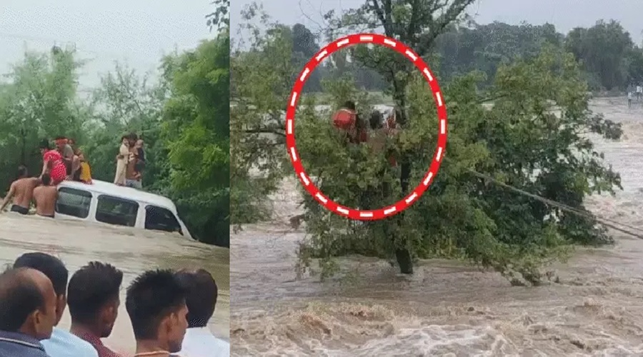 UP News: झांसी में नाले में गिरी वैन, चार मछुआरे तेज बहाव में टापू पर फंसे; 53 जिलों में बारिश का अलर्ट