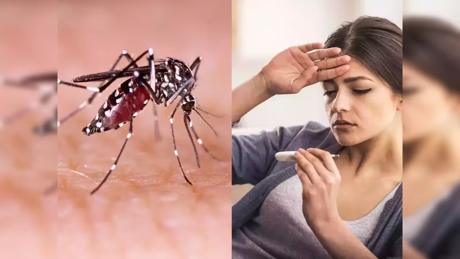 Malaria and Dengue in UP: लखनऊ मंडल में मलेरिया के 1,084, डेंगू के 135 मामले